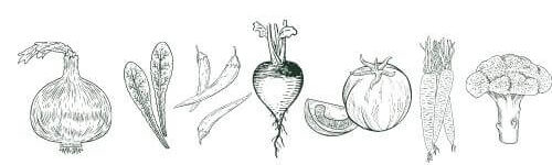 Pen drawing of an onion, some lettuce leaves, some peppers, a radish, a tomato, carrots, and a head of broccoli in dark green ink