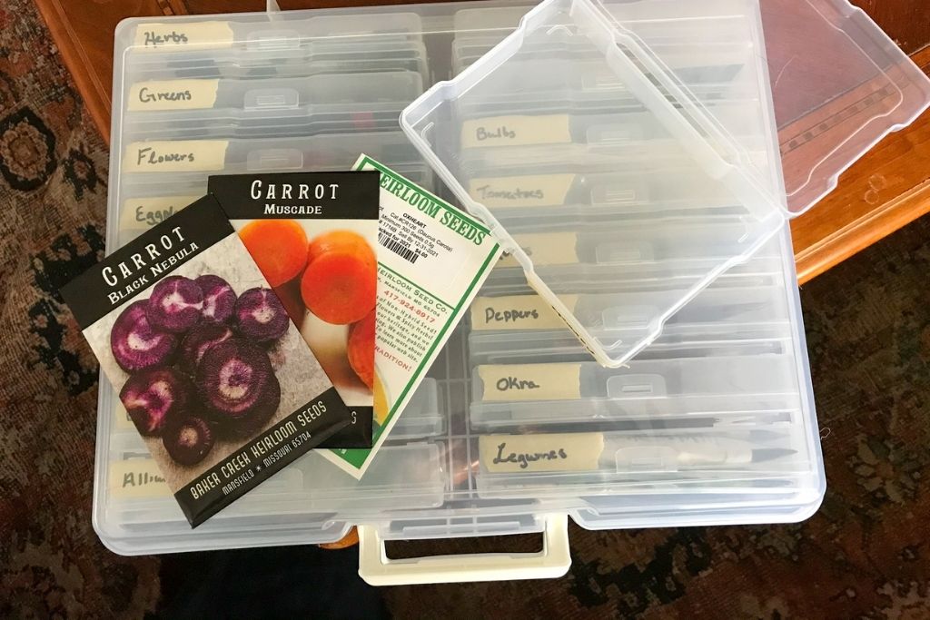 Image of three types of carrot seeds (black nebula, muscade, and oxheart) on top of a plastic seed storage tote