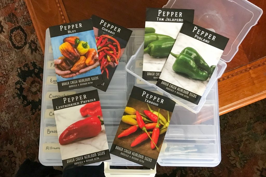 Image of pepper seeds (blot, corbaci, paprika, tabasco, jalapeno, and poblano) on top of a plastic seed storage tote