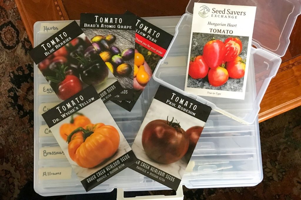 Image of tomato seeds (blue berries, brad's atomic grape, yellow pear, dr. wyche's yellow, paul robeson, and hungarian heart) on top of a plastic seed storage tote