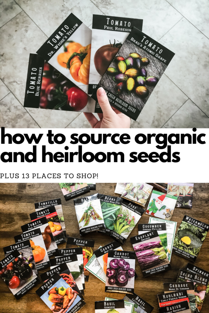 A pinterest pin with a white banner across the center that reads, "how to source organic and heirloom seeds plus 13 places to shop!" in black. Above the banner is an image of a hand holding four tomato seed packets spread out like a fan. Below the banner is a bunch of seed packets spread out on a wooden table.