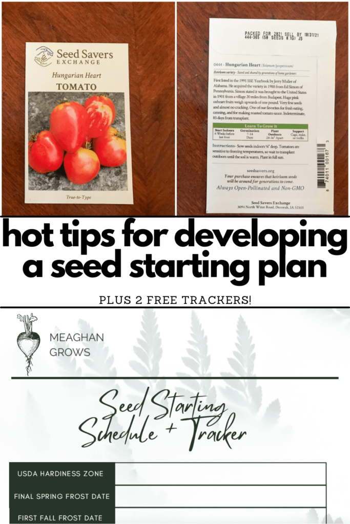 Pinterest pin containing images of a tomato seed packet and a pdf seed starting schedule with black text on a white background reading, "hot tips for developing a seed stating plan plus 2 free trackers!"
