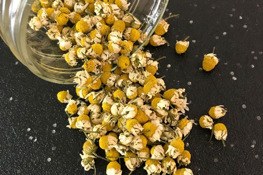 Image of dried chamomile spilling out of a jar on a black background