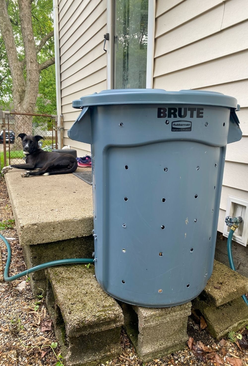 Image of the finished compost bin sitting on cinderblocks with a black dog laying on a stoop in the background