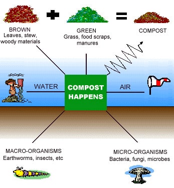 Chart showing how compost happens, with the inputs of brown items, green items, water, air, and macro and microorganisms.