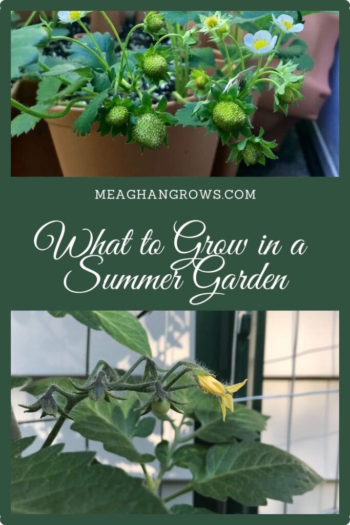 Pinterest pin containing images of a cherry tomato setting fruit and green growing strawberries. White text on a green background reads, "What to Grow in a Summer Garden" and "meaghangrows.com"