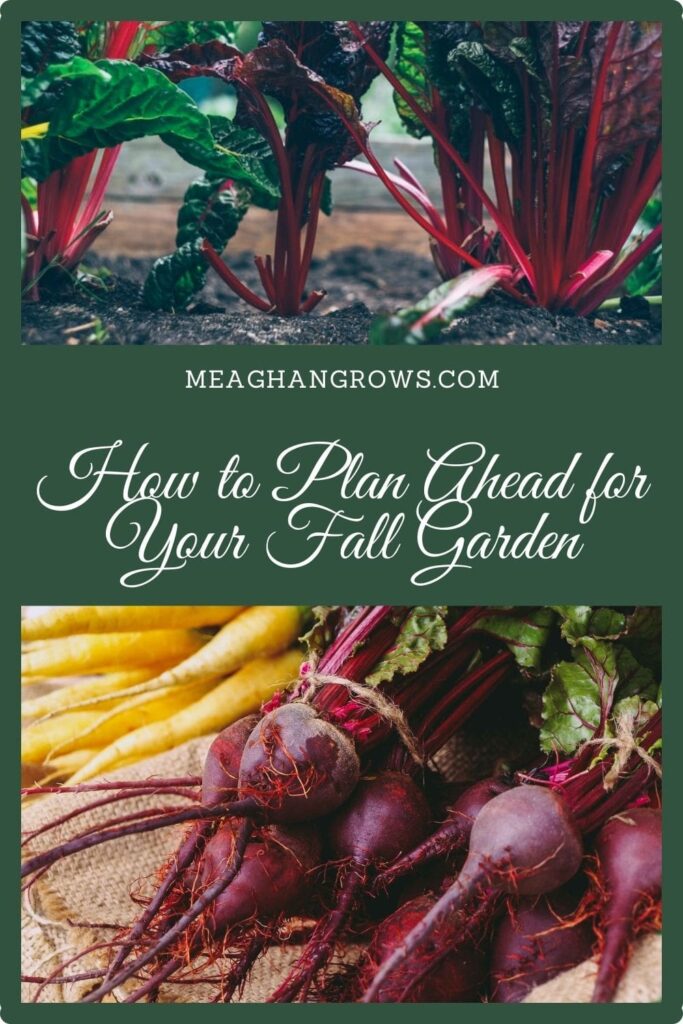 Pinterest pin containing images of chard and of beets and carrots. White text on a green background reds, "How to Plan Ahead for Your Fall Garden" and "meaghangrows.com"