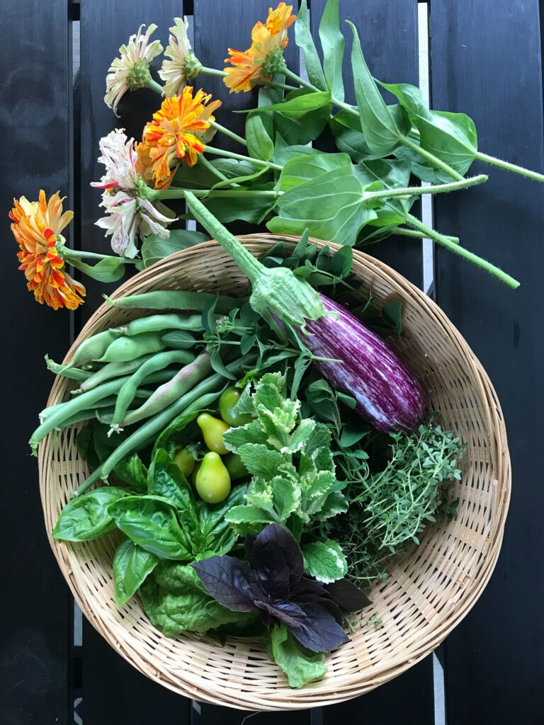 Overhead shot of a basket full of garden produce on a picnic table. In the basket are herbs, green beans, cherry tomatoes, and an eggplant. Above the basket is a bouquet of zinnias; how to preserve fresh herbs