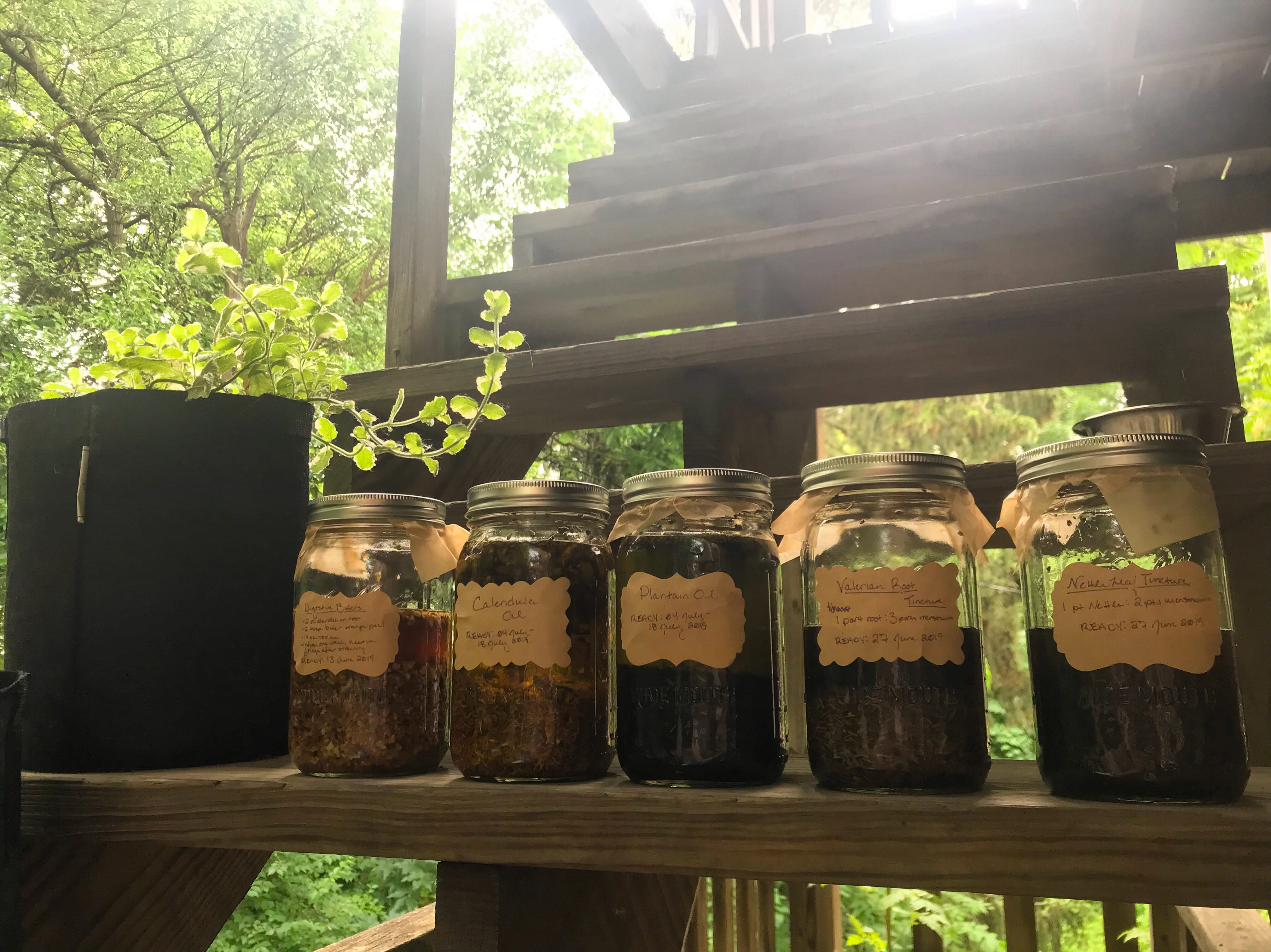 Five large mason jars full of herbal infused oils sitting on a wood step; how to preserve fresh herbs