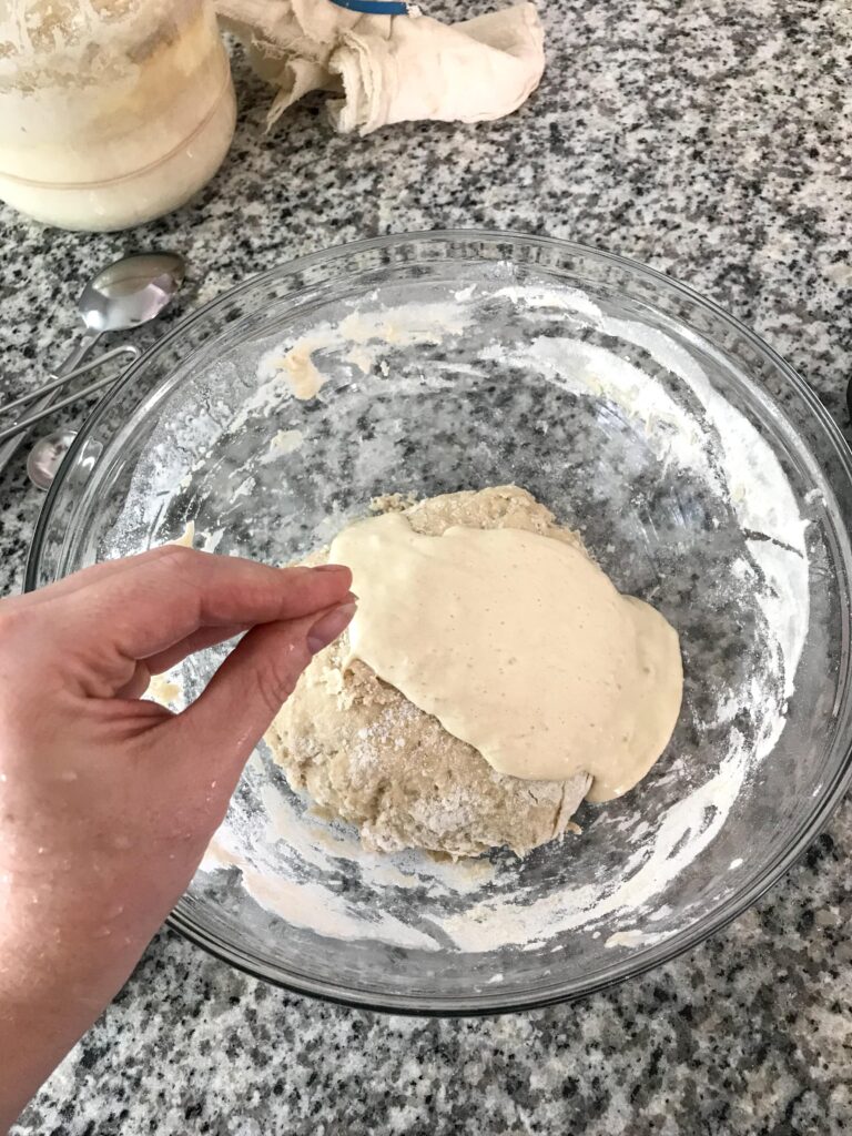 Background of a glass bowl with autolyse dough and sourdough starter. Foreground of a hand demonstrating the pincer method of combining starter into dough.