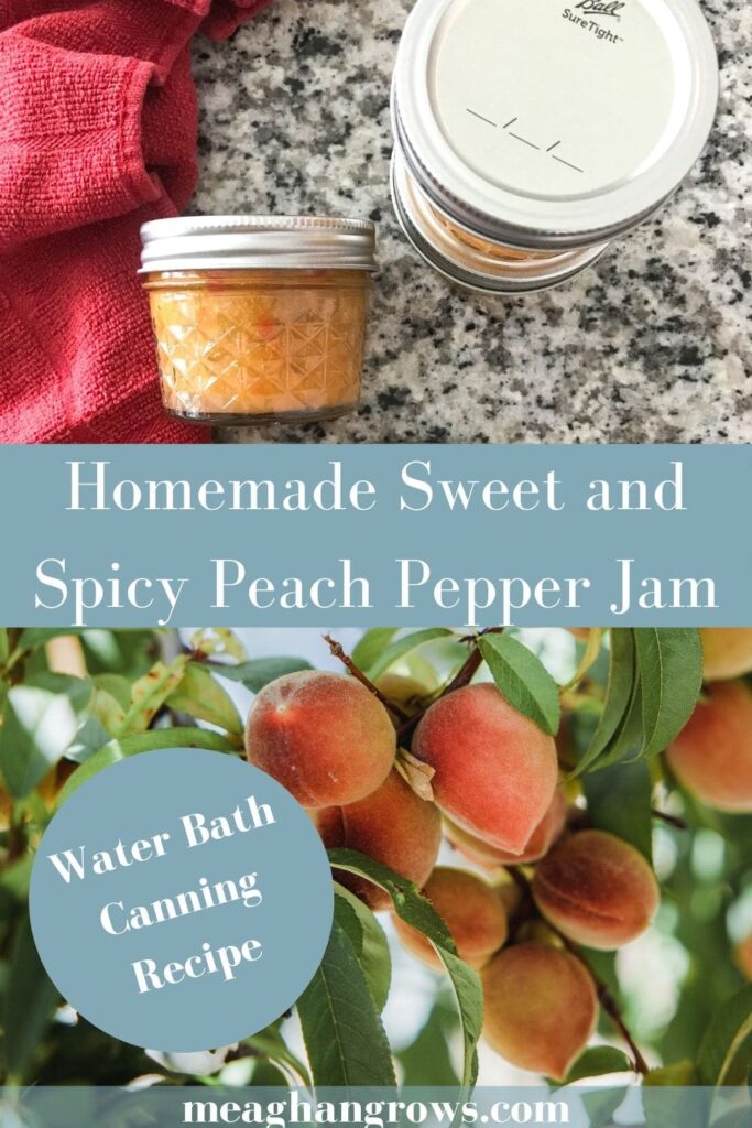 Pinterest pin of ripe peaches hanging from a tree branch and of small jars of peach pepper jam on a granite countertop. White text on a blue background reads, "Homemade Sweet and Spicy Peach Pepper Jam," "Water Bath Canning Recipe," and "meaghangrows.com"