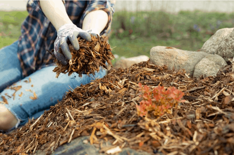 A woman sits on a pule of mulch and lifts a handful with gloves hands – extend the growing season