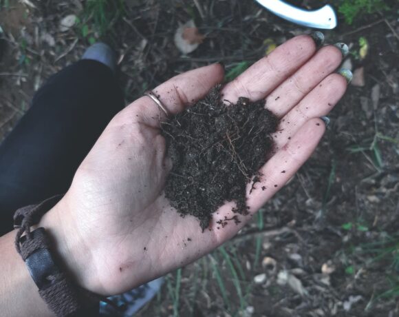A hand holds up a handful of compost feed the soil
