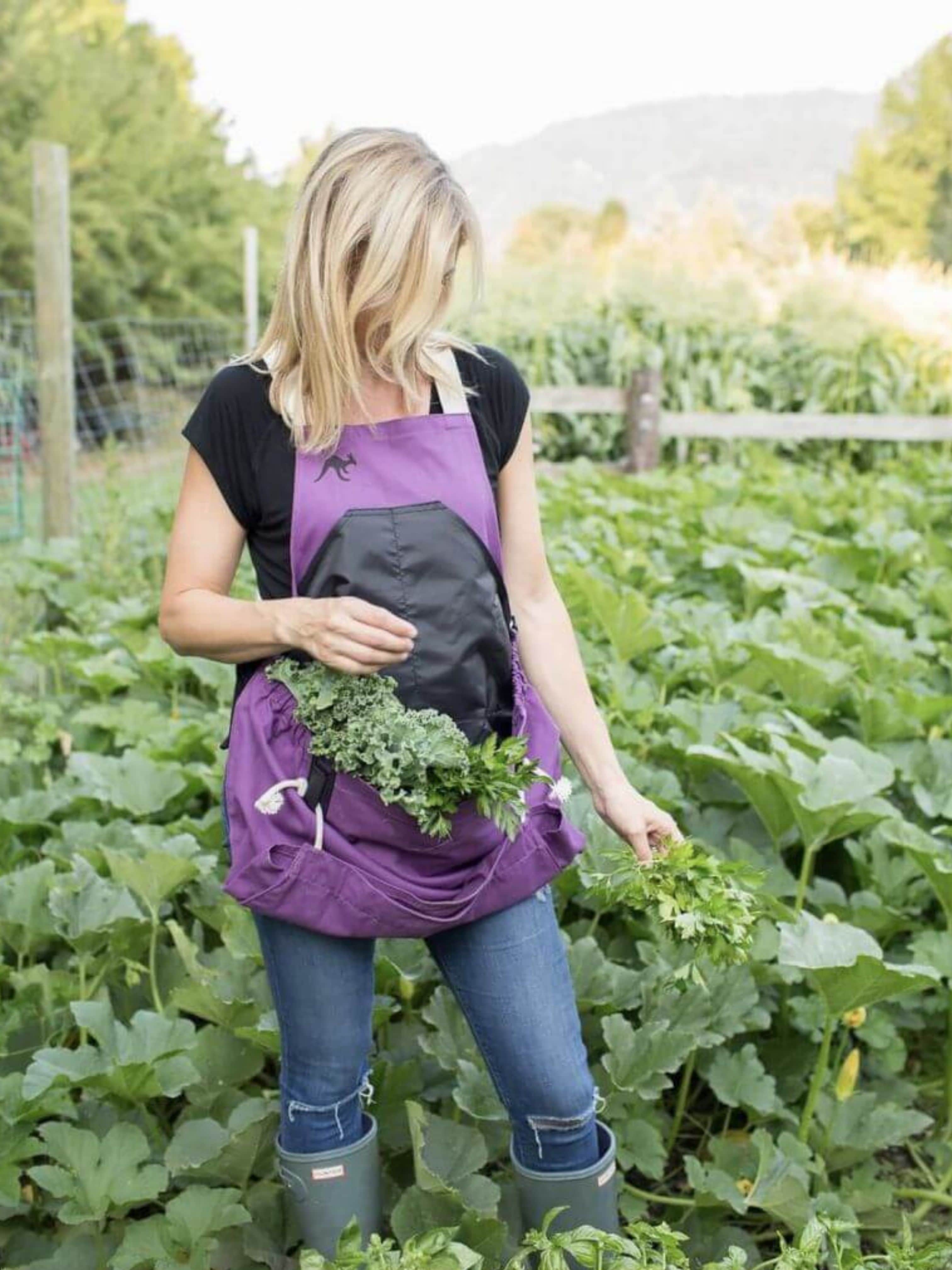 A blond woman models a purple roo apron in a field of squash plants