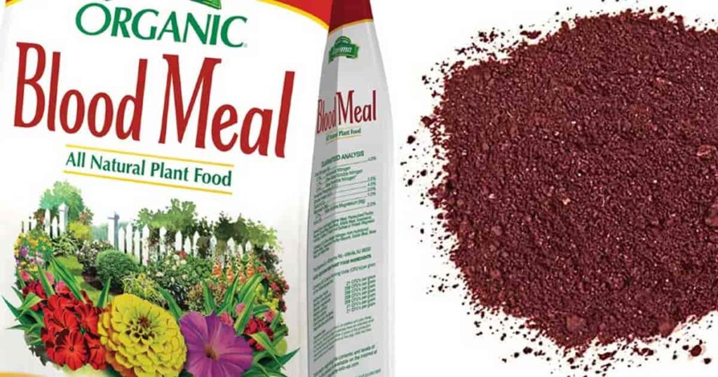 Cropped image of a bag of Espoma Organics blood meal on the left and a pile of blood meal on the right feed the soil