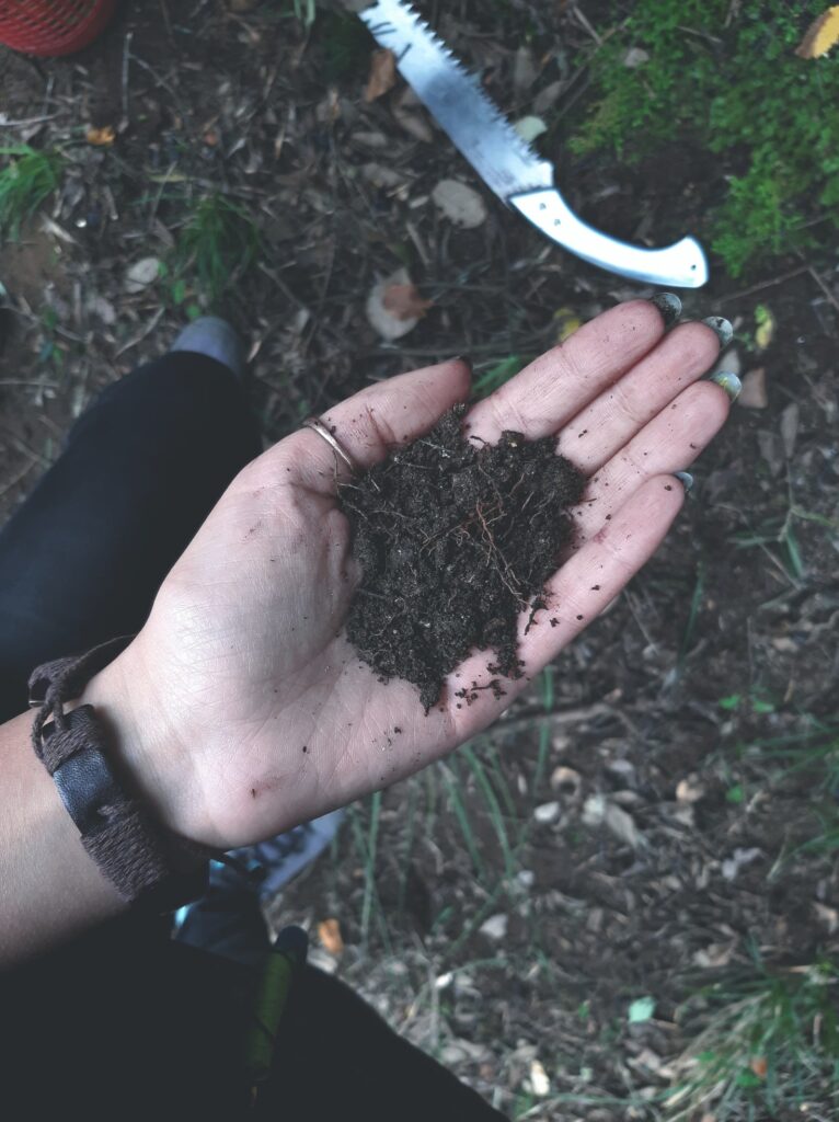 A hand holds up a handful of compost feed the soil