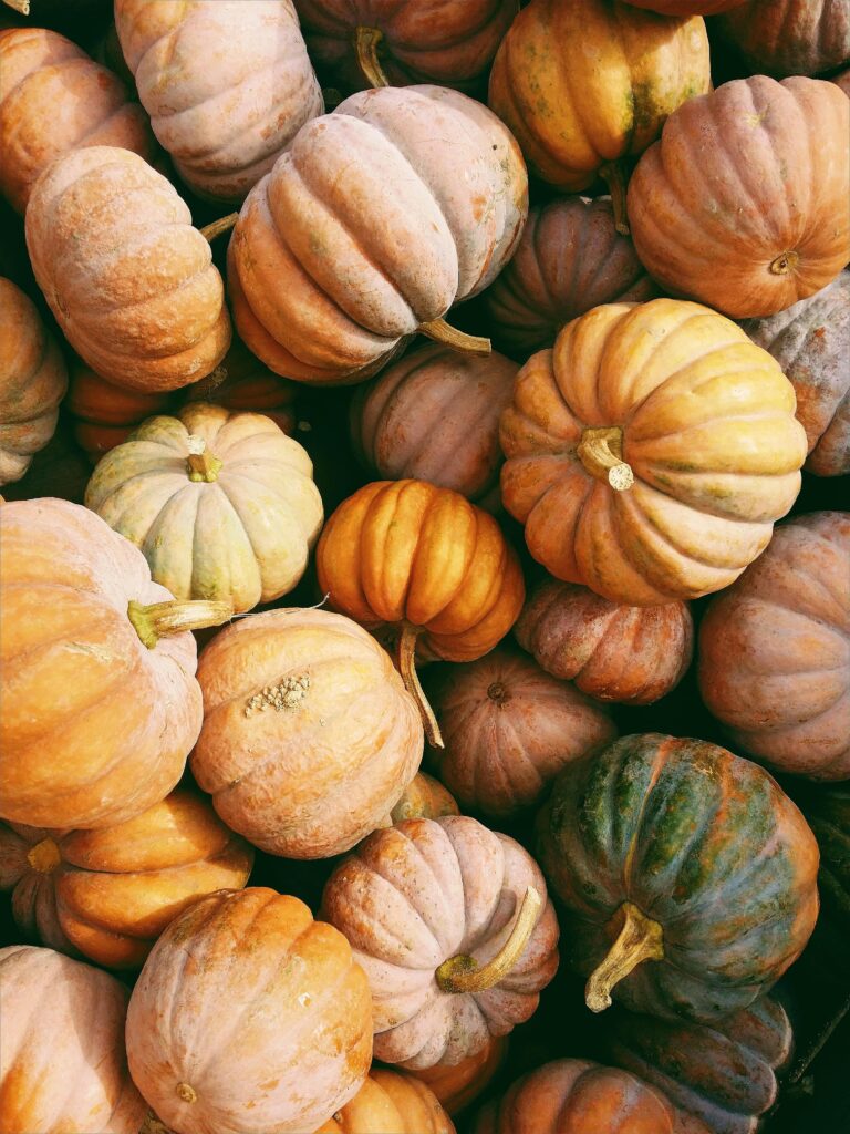 Overhead shot of a pile of Cinderella and Musquee de Provence pumpkins