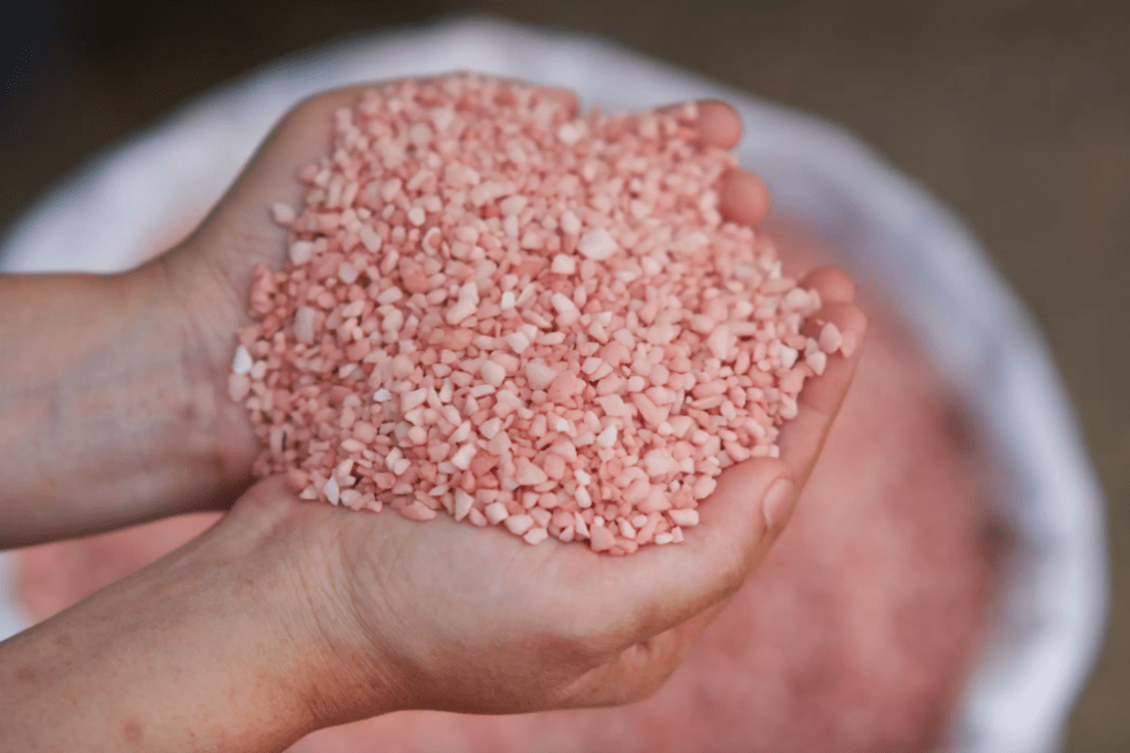 Two hands hold up a handful of pink potash above a large bag feed the soil