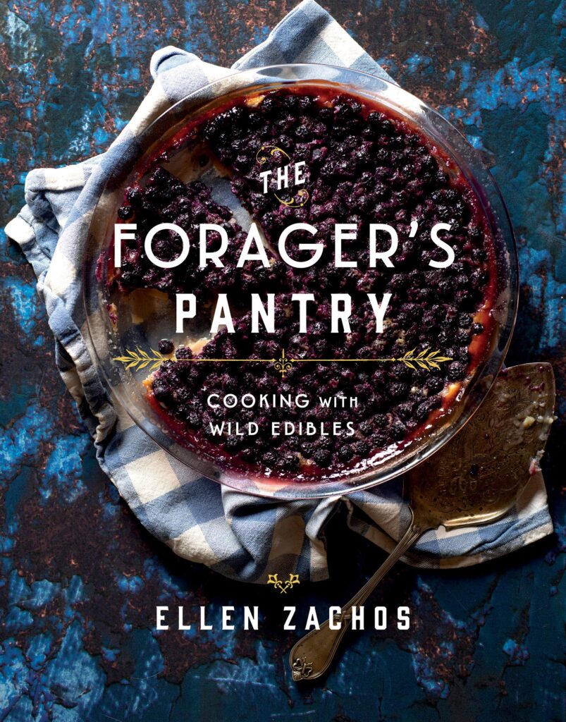 Book cover of The Forager's Pantry