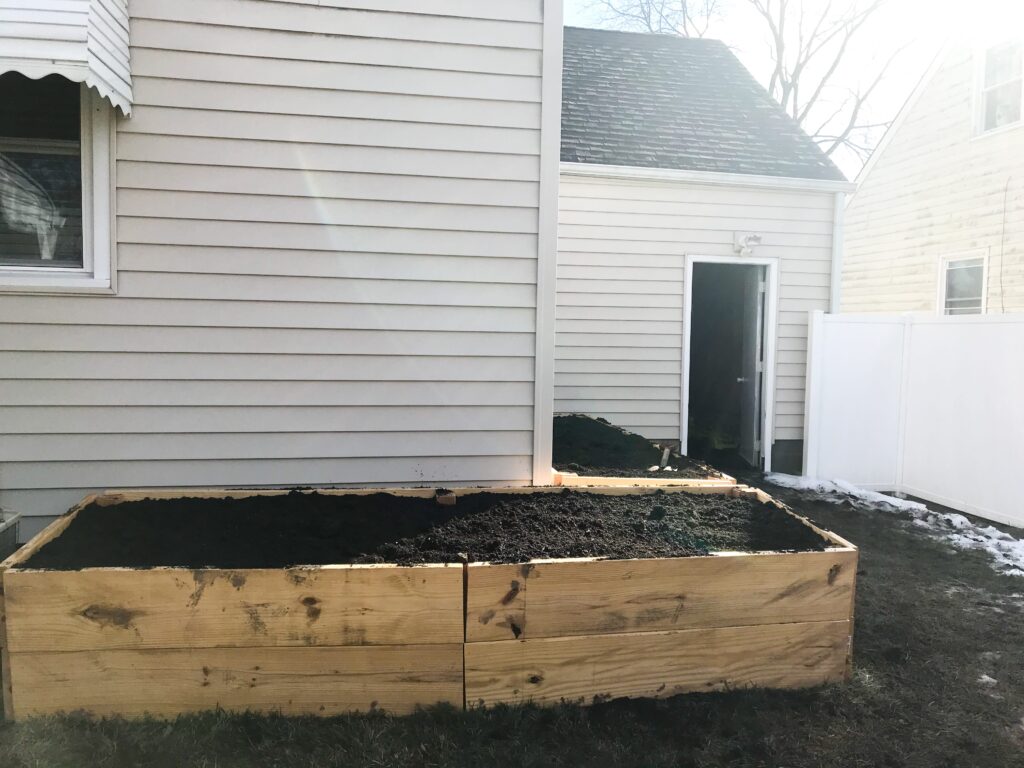 Winter sun shines on two raised wooden garden beds freshly filled with soil. The beds meet in an L against the sides of a house. what to plant in may
