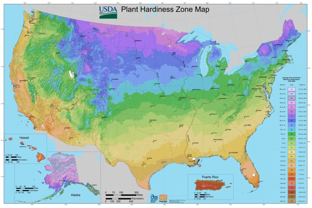 USDA hardiness zone map of the United States what to plant in may