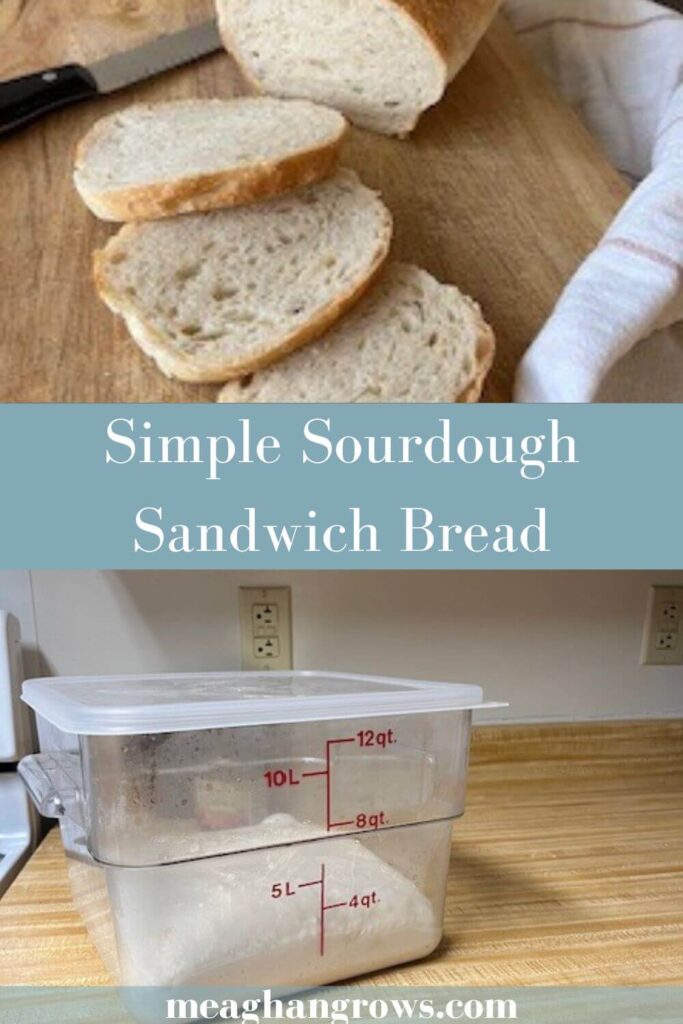 Pinterest pin reading "Simple Sourdough Sandwich Bread" in white text on a light blue band across the center. On the top is an image of a freshly baked loaf of sourdough sandwich bread, sliced and laying on a cutting board. On the bottom is a cambro containing the dough after bulk fermentation.