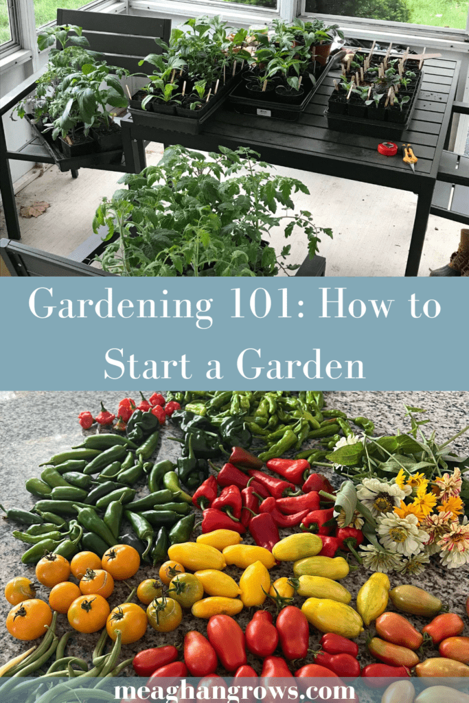 Pinterest Pin reading "Gardening 101: How to Start a Garden" in white text on a blue banner. On the top is a patio table with four trays of seedlings. On the bottom is a kitchen counter spilling over with garden produce - tomatoes, peppers, green beans, and flowers.