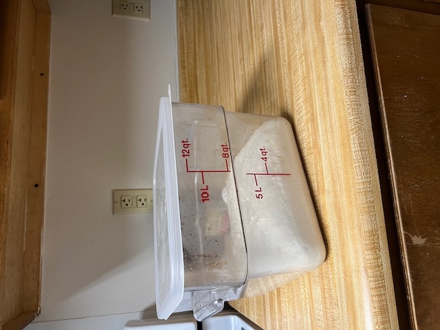 A plastic cambro contained sourdough sandwich bread dough after bulk fermentation. The dough looks puffy and risen, and you can see one big bubble.