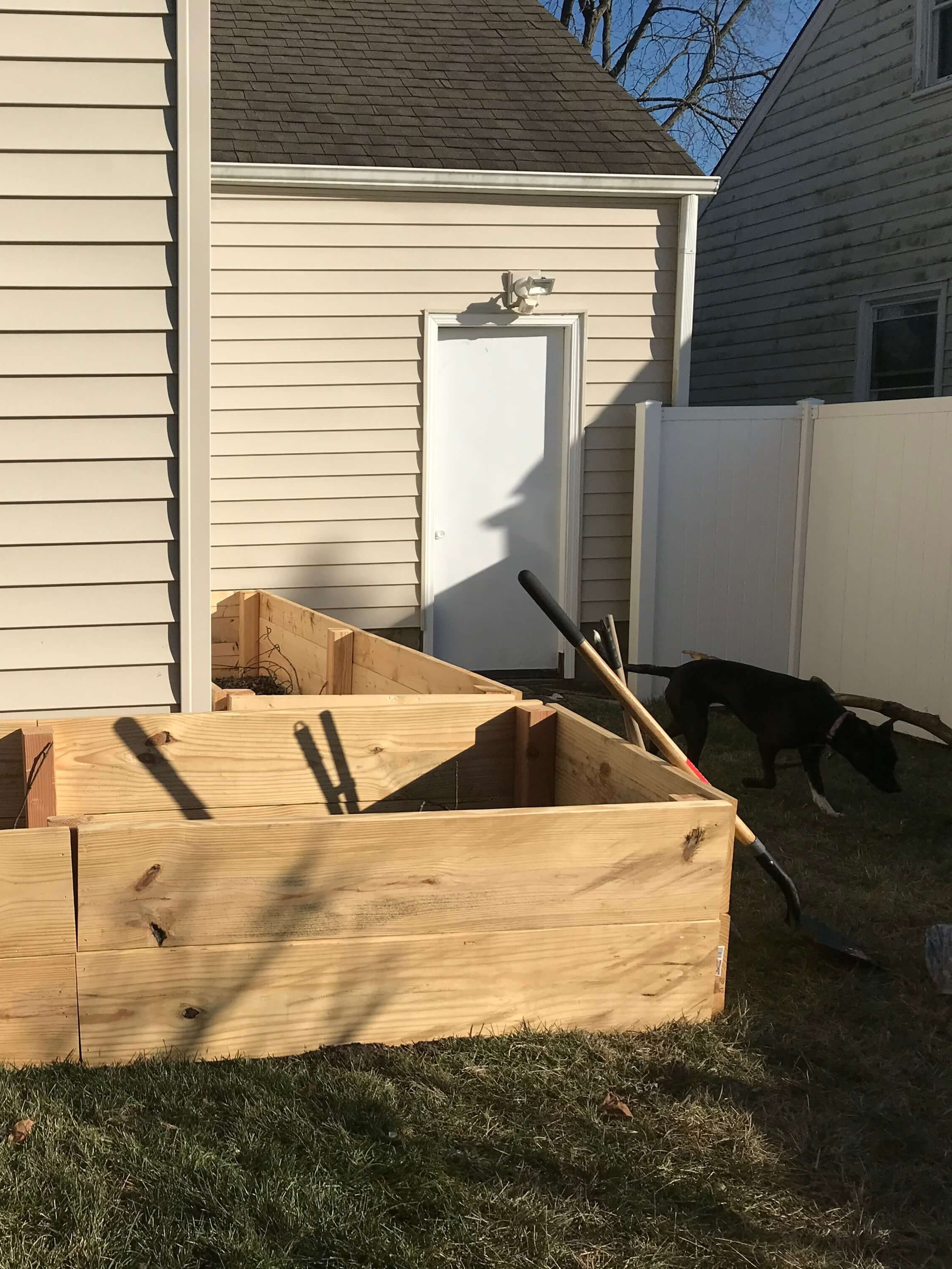 Freshly built wooden raised garden beds making an L along the sides of a house. A shovel leans against the beds, and a black dog is in shadow in the background.