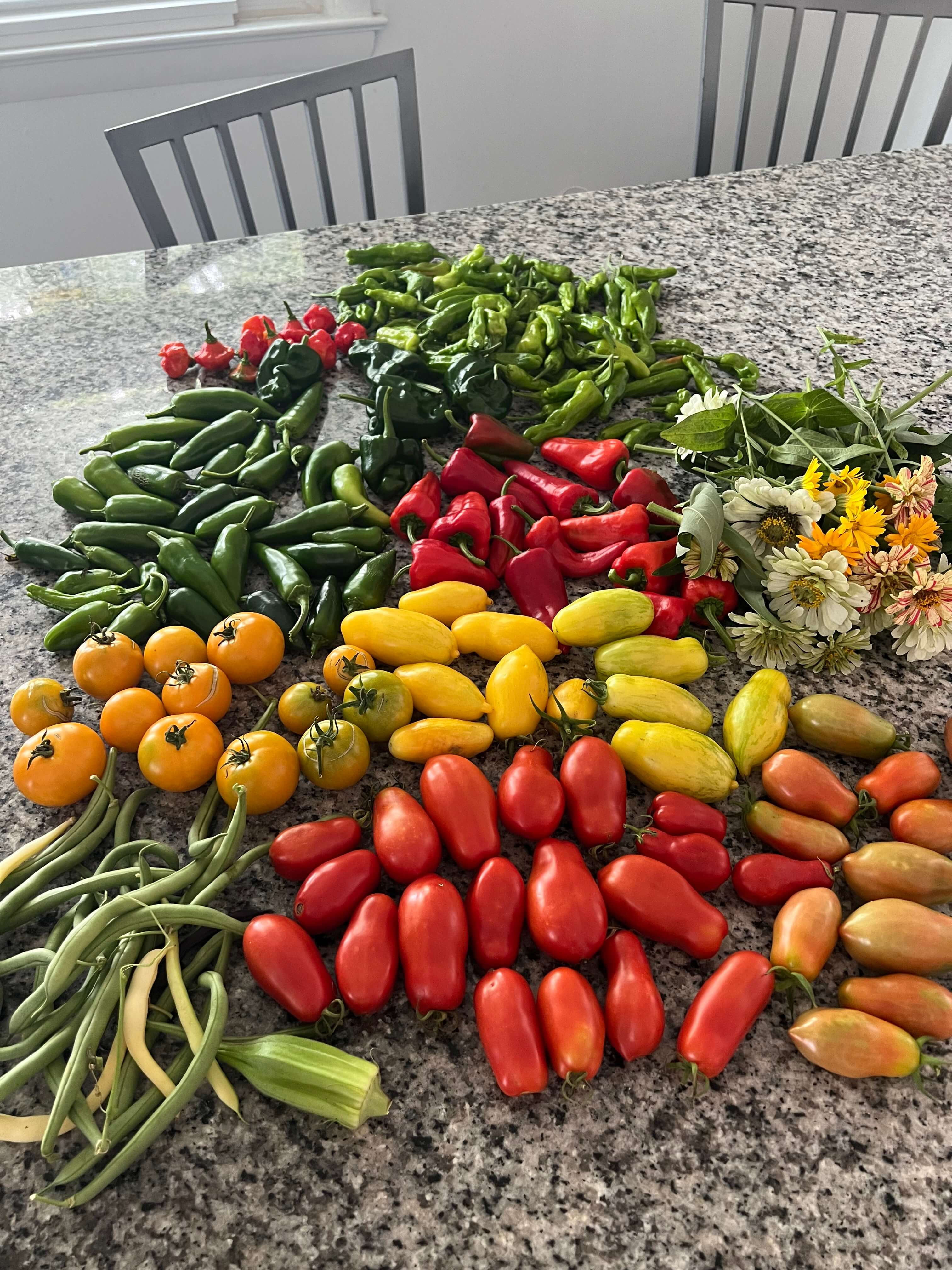 A gray and white granite island is spilling over with garden produce. Yellow, orange, and red tomatoes are joined by an okra pod, green and yellow pole beans, zinnias, and multiple varieties of peppers.